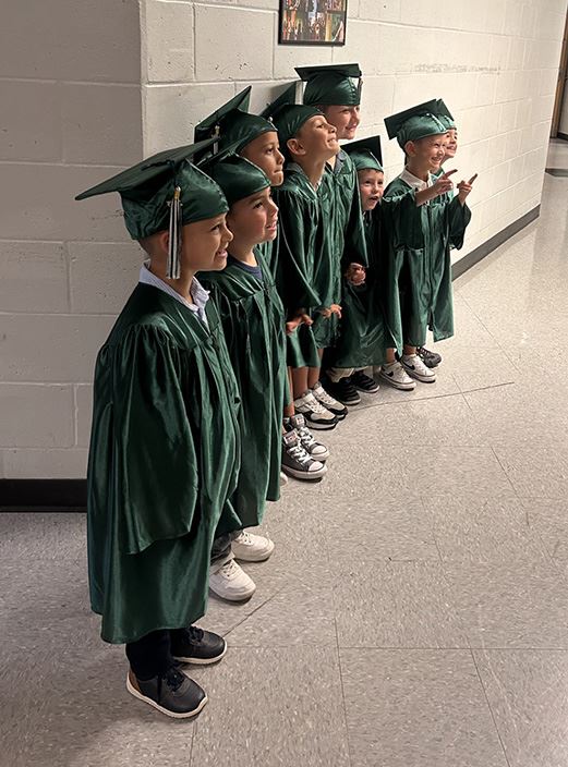  mini mustangs